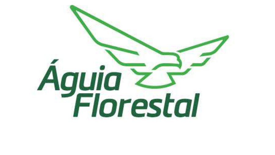 Águia Florestal